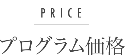 プログラム価格