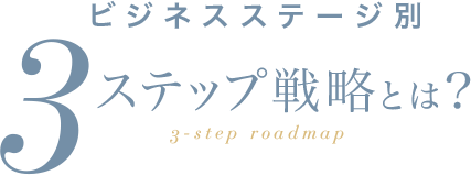 ビジネスステージ別３ステップ戦略とは？？