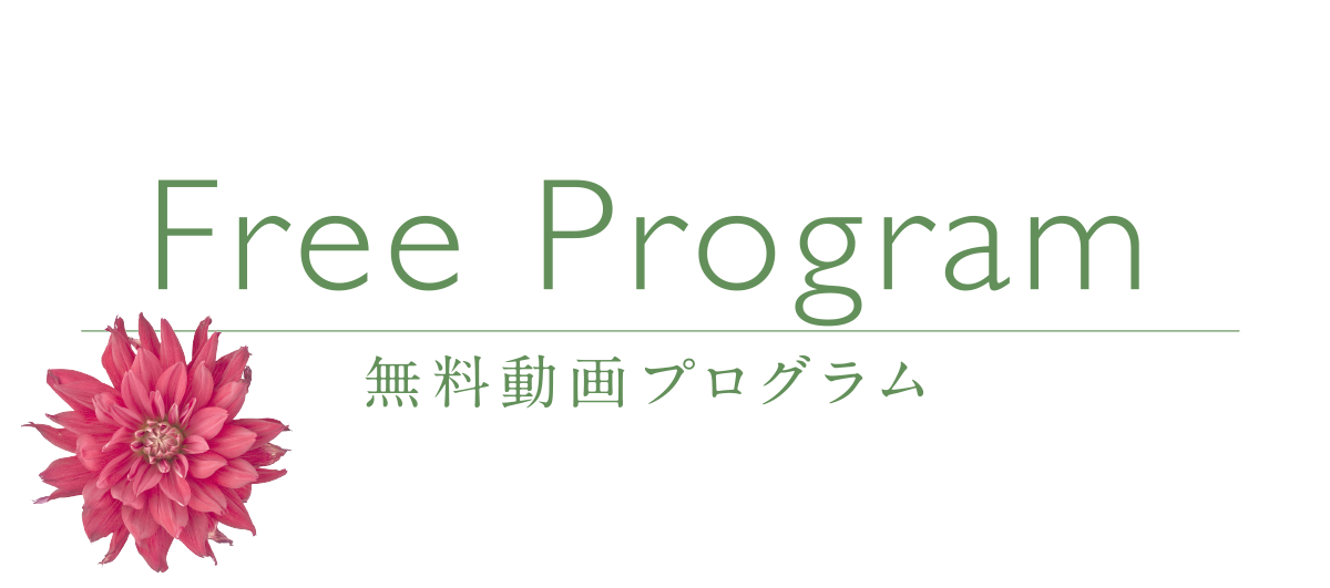 Free Program無料動画プログラム